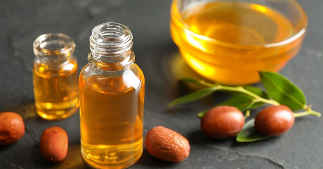 Bottles of jojoba oil with jojoba seeds and green leaves for jojoba oil for chapped lips treatment