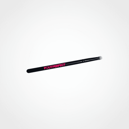 NEW Perfect Pout Lip Accessories