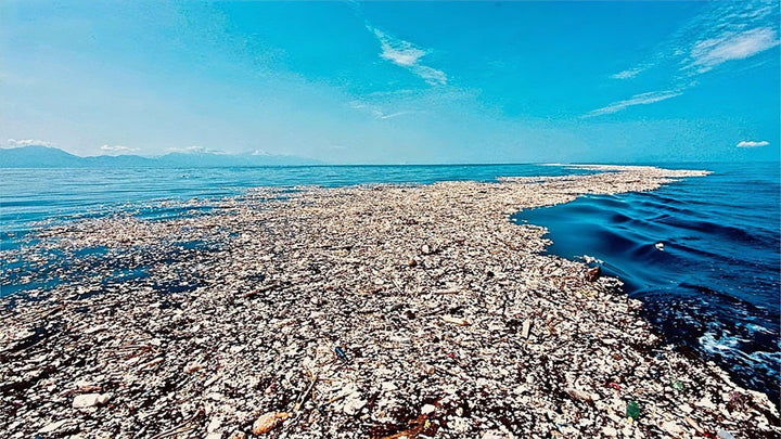 Plastic & Trash Removal: Ocean - Pout Perfect