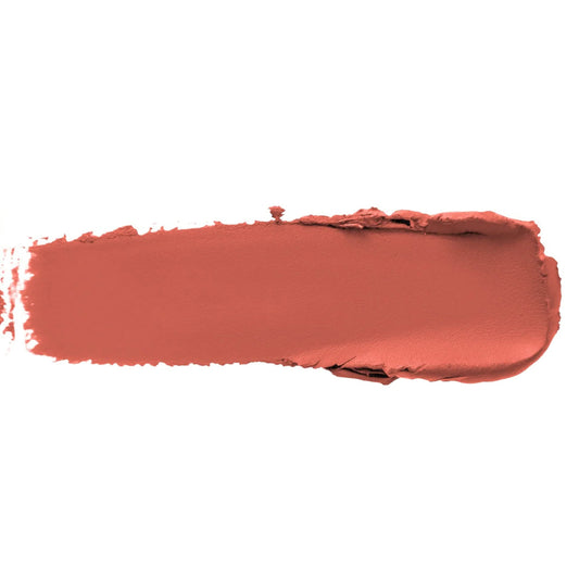 Pout Perfect luxury matte lipstick swatch in warm terracotta shade with smooth texture