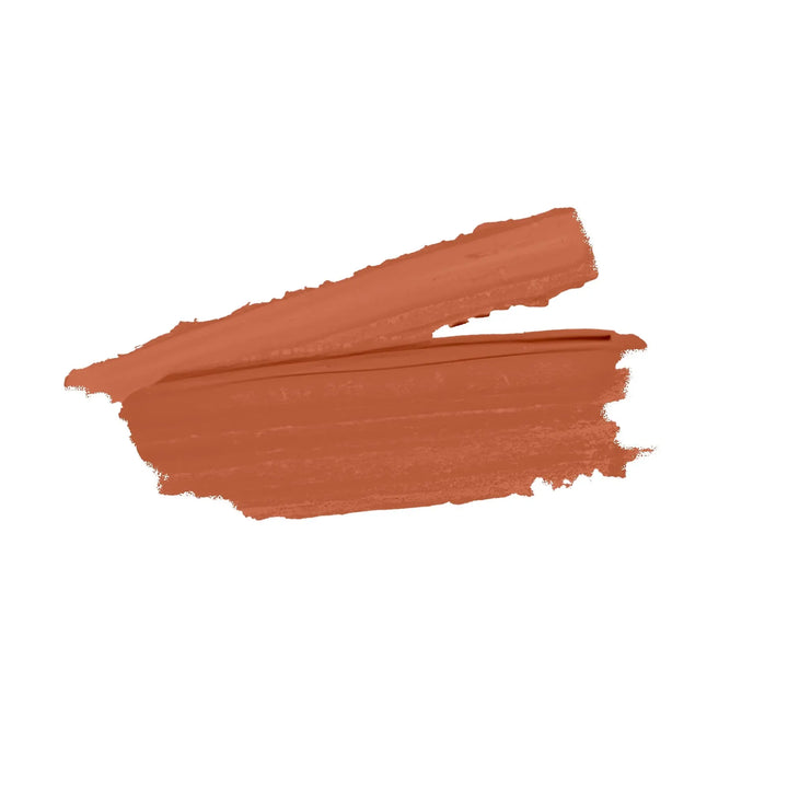 Pout Perfect Spicy Rum lipstick swatch showing rich warm brown shade with creamy texture